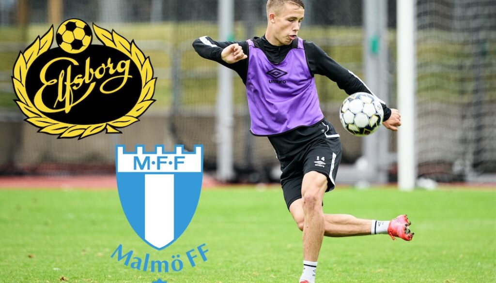 elfsborg_malmo_ff_fotboll